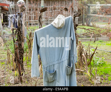 Old scarecrow in vegetable garden Stock Photo