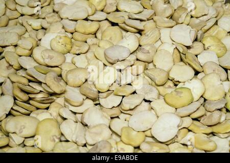 Fava beans Stock Photo