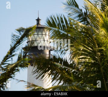 Cape Florida lighthouse in Bill Baggs Stock Photo