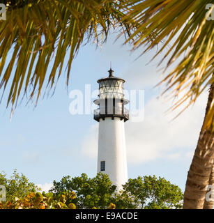 Cape Florida lighthouse in Bill Baggs Stock Photo