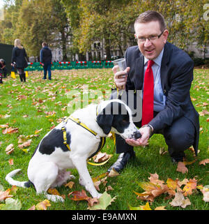 London, October 23rd 2014. Organised by the Dogs Trust and the Kennel Club, politicians  and their pooches gather outside Parliament for the 22nd Westminster Dog of the Year competition, aimed at raising awareness of dog welfare in the UK where the Dogs Trust cares for over 16,000 stray and abandoned dogs annually. PICTURED: Rescued Pointer Cross, Tim enjoys a treat from Andrew Gwynne MP. Credit:  Paul Davey/Alamy Live News Stock Photo