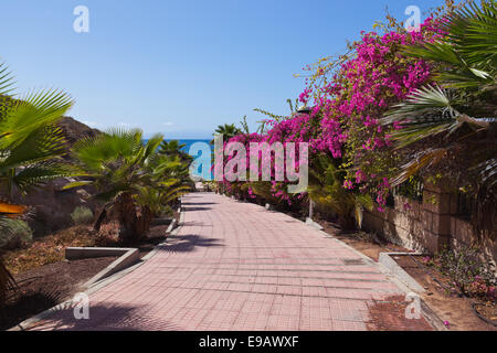 Footpath to beach in Tenerife island - Canary Stock Photo