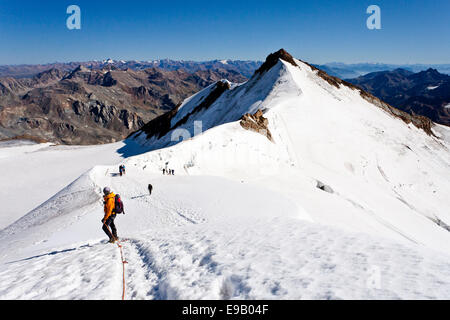 Mountain climbers on the summit ridge of Mount Cevedale in front of Zufallspitze Mountain, Alto Adige, Italy Stock Photo