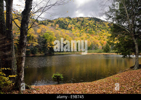 Lake Mansfield private trout pond in the Fall at Stowe Vermont USA Stock Photo