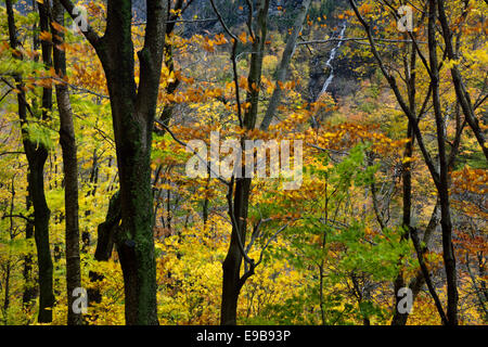 Waterfall from Bear Head peak Mount Mansfield from Smugglers Notch forest Vermont USA in Fall Stock Photo