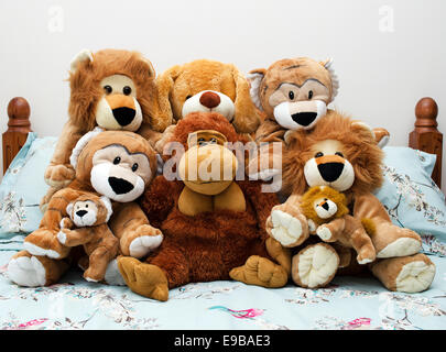 a collection of teddy bears and soft toys Stock Photo