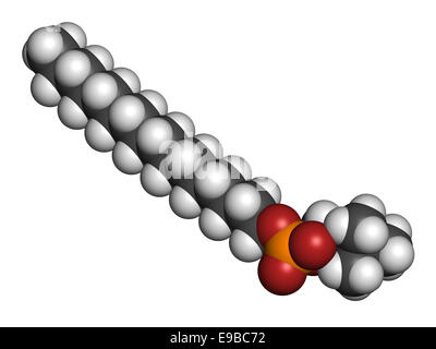 Miltefosine leishmaniasis drug molecule. Atoms are represented as spheres with conventional color coding: hydrogen (white), carb Stock Photo