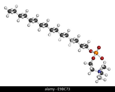 Miltefosine leishmaniasis drug molecule. Atoms are represented as spheres with conventional color coding: hydrogen (white), carb Stock Photo