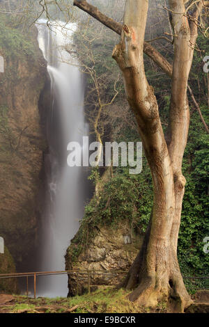 Dyserth Falls on the River Ffyddion in North Wales Stock Photo