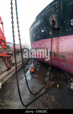 China, Shekou, 31 March till 6th April 2008 Bulk carrier Venture Spirit in dock for first 5 year service. Stock Photo