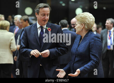 Brussels. 24th Oct, 2014. British Prime Minister David Cameron (L) talks with Lithuania President Dalia Grybauskaite prior to a roundtable meeting during an EU Summit at the EU Council headquaters in Brussels, Belgium, Oct.24, 2014. Credit:  Ye Pingfan/Xinhua/Alamy Live News Stock Photo