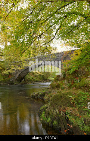 Autumn time and a slow moving river flows under an old stone bridge near Ambleside in the Lake District National Park, Cumbria Stock Photo