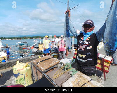 Sablayan town is composed of 11 coastal villages and fishing is the main source of income of the people living near the sea. Due to the efforts of the local government to protect marine sanctuaries and tough fishing laws, Sablayan is harvesting big catch. Since 2010, Sablayan is harvesting gigantic tuna for exports. The town also is the main producer of fish in MIMAROPA region. © Sherbien Dacalanio/Pacific Press/Alamy Live News Stock Photo