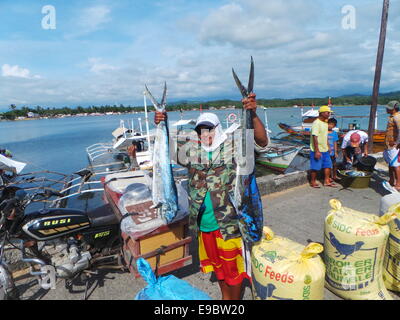 Sablayan town is composed of 11 coastal villages and fishing is the main source of income of the people living near the sea. Due to the efforts of the local government to protect marine sanctuaries and tough fishing laws, Sablayan is harvesting big catch. Since 2010, Sablayan is harvesting gigantic tuna for exports. The town also is the main producer of fish in MIMAROPA region. © Sherbien Dacalanio/Pacific Press/Alamy Live News Stock Photo