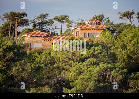 In Hossegor (France), wooden framework villa and maritime pine forest. Luxury real estate - luxury properties. Stock Photo