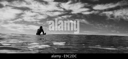 Surfer guy waiting for a wave in the ocean in black and white Stock Photo