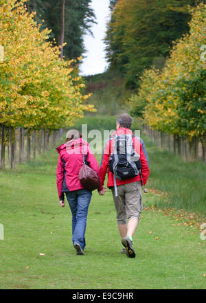 Middle aged couple walking holding hands in the countryside Stock Photo