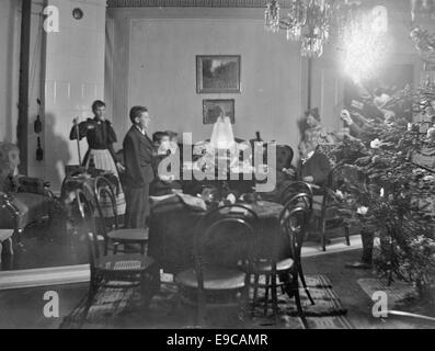 This image, associated with the Svenska Litteratursällskapet i Finland (SLS), relates to the works of Finnish author Zachris Topelius. It provides a historical view of his literary contributions to Finnish culture, particularly during the 19th century. Stock Photo