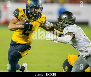 Santa Clara, CA, USA. 24th Oct, 2014. California Golden Bears running back Daniel Lasco (2) in action during the NCAA Football game between the Oregon Ducks and the California Golden Bears at Levi's Stadium in Santa Clara, CA. Oregon defeated Cal 59-41. Damon Tarver/Cal Sport Media Credit:  Cal Sport Media/Alamy Live News Stock Photo