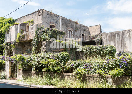 Old house covered with vegetation Stock Photo