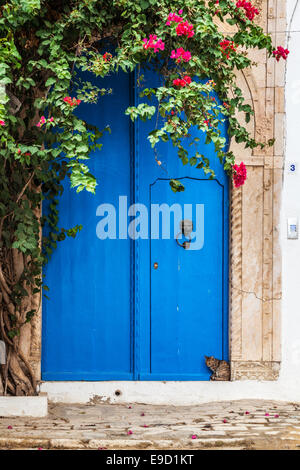 A cat sits on the doorstep by a typical blue front door in Sidi Bou Said, Tunisia. Stock Photo