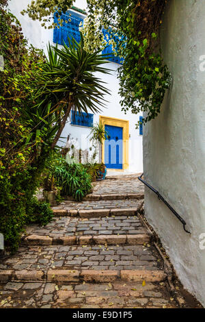 Steep, narrow, cobbled alleyway in Sidi Bou Said, Tunisia.