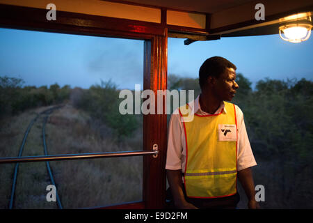 One of the railway workers of the Livingstone Express luxury train. Fine dining is redefined when the venue is the dining car of Stock Photo