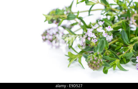 Bunch of fresh Winter Savory isolated on pure white background Stock Photo