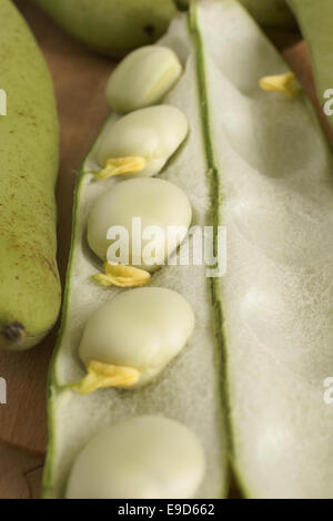 Broad beans or fava beans selective focus on centre bean Stock Photo