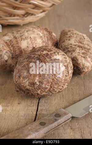 Eddoe or Eddo a tropical root vegetable latin name Colocasia antiquorum closely related to Taro Stock Photo