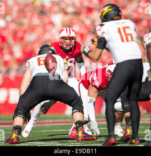 October 25, 2014: Wisconsin Badgers linebacker Marcus Trotter #59 watches the snap during the NCAA Football game between the Maryland Terrapins and the Wisconsin Badgers at Camp Randall Stadium in Madison, WI. Wisconsin defeated Maryland 52-7. John Fisher/CSM Stock Photo