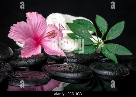 healthcare concept of pink hibiscus, green leaf shefler with drops and white stacked towels on zen stones in reflection water Stock Photo