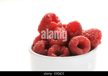 A beautiful selection of freshly picked ripe red raspberries Stock Photo
