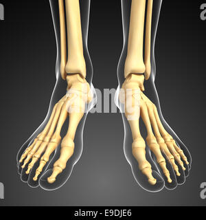 Illustration of human foot artwork Stock Photo