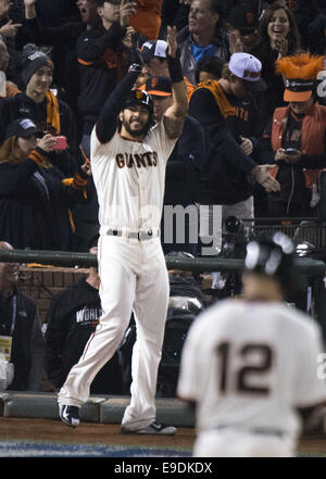 Oct. 25, 2014 - San Francisco, California, USA - Michael Morris acknowledges teammate Joe Panik (12) after he hit a double in the 7th inning scoring Morris during Game 4 of the World Series at AT&T Park in San Francisco, Calif. on Saturday, Oct. 25, 2014. (Credit Image: © Randy Pench/Sacramento Bee/ZUMA Wire) Stock Photo