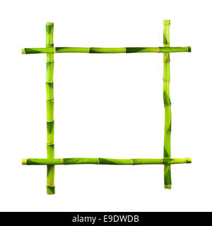 Green Bamboo Frame Isolated on White Background. Closeup. Stock Photo