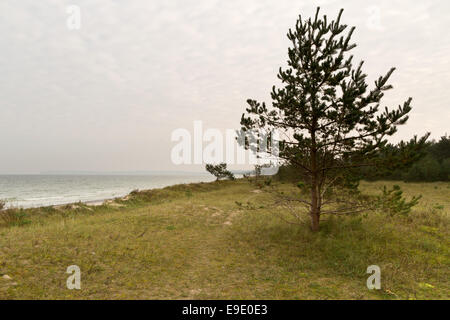 Seaview at Prora, Ruegen, Germany, Europe Stock Photo