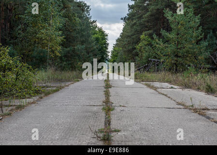 straight road to Chernobyl-2 military base next to Duga-3 Soviet radar system in Chernobyl Exclusion Zone, Ukraine Stock Photo