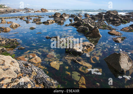 View of Atlantic Ocean from a beach in Foz area, Porto, Portugal Stock Photo