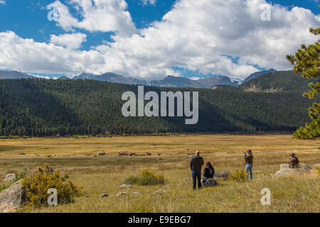 Tourists watching Elk in Moraine Park in Rocky Mountain National Park Colorado Stock Photo