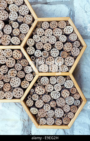 A wild bee and insect hotel Stock Photo