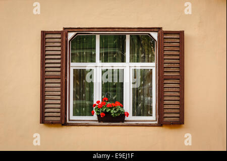 Window with shutters and flower Stock Photo