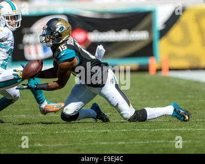 Jacksonville, FL, USA. 26th October, 2014. Jacksonville Jaguars wide receiver Allen Robinson (15) dives for the ball during first half NFL game action between the Miami Dolphins and the Jacksonville Jaguars at EverBank Field in Jacksonville, FL Credit:  Cal Sport Media/Alamy Live News Stock Photo