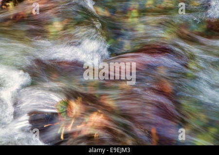 Flowing water of a creek in fall with colorful leave with intentional motion blur for an abstract look. Stock Photo