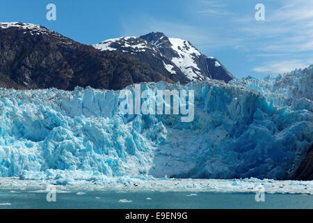 Icebergs floating below terminus face of South Sawyer Glacier, Tracy Arm, Southeast Alaska, USA Stock Photo