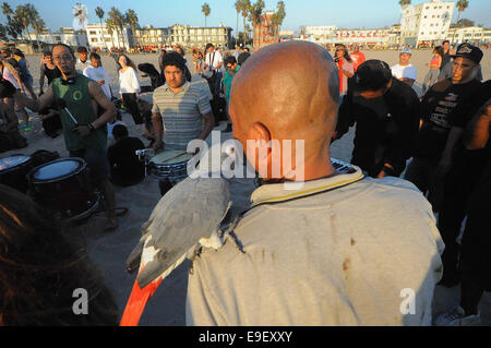 Los Angeles, USA. 27th Oct, 2014. A community composed of some of Venice Beach boardwalks most talented and colourful characters performs weekly sun setting drumming circles. Today tourists flock to see the weekend event. The difficult drought has only made sunset clearly and more beautiful on America's most popular coast. © Gail Orenstein/ZUMA Wire/Alamy Live News Stock Photo