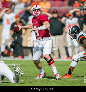October 25, 2014: Stanford Cardinal quarterback Kevin Hogan (8) in action during the NCAA Football game between the Stanford Cardinal and the Oregon State Beavers at Stanford Stadium in Palo Alto, CA. Stanford defeated Oregon State 38-14. Damon Tarver/Cal Sport Media Stock Photo