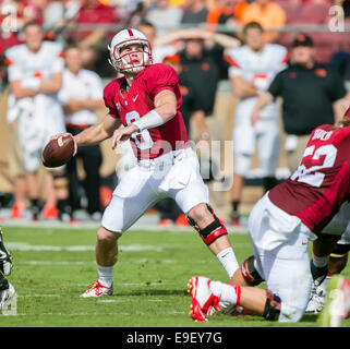 October 25, 2014: Stanford Cardinal quarterback Kevin Hogan (8) in action during the NCAA Football game between the Stanford Cardinal and the Oregon State Beavers at Stanford Stadium in Palo Alto, CA. Stanford defeated Oregon State 38-14. Damon Tarver/Cal Sport Media Stock Photo