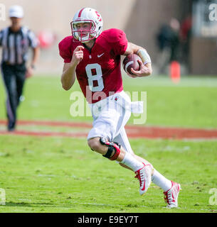 October 25, 2014: Stanford Cardinal quarterback Kevin Hogan (8) in action during the NCAA Football game between the Stanford Cardinal and the Oregon State Beavers at Stanford Stadium in Palo Alto, CA. Stanford defeated Oregon State 38-14. Damon Tarver/Cal Sport Media Stock Photo