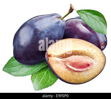 Three plums with leaf. File contains clipping paths. Stock Photo